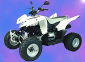 2009 Aeon Cobra 320 photo